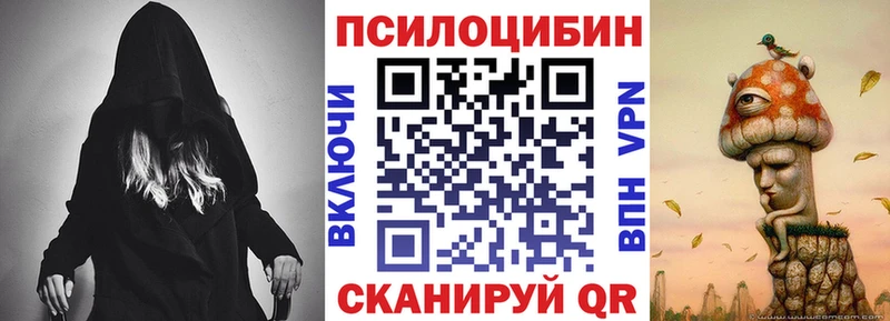 Купить где  Курск  Псилоцибиновые грибы GOLDEN TEACHER 